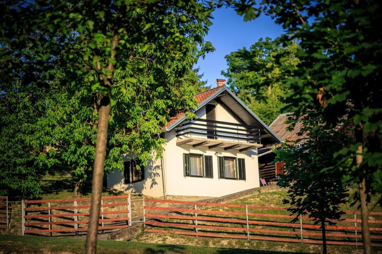Kuca Za Odmor, Ferienhaus, Holiday Home Rugas Orahovica Extérieur photo